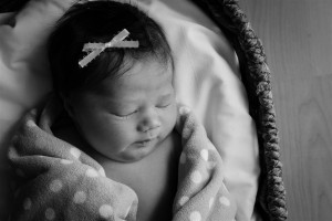 IMG_0104-2 (Medium)