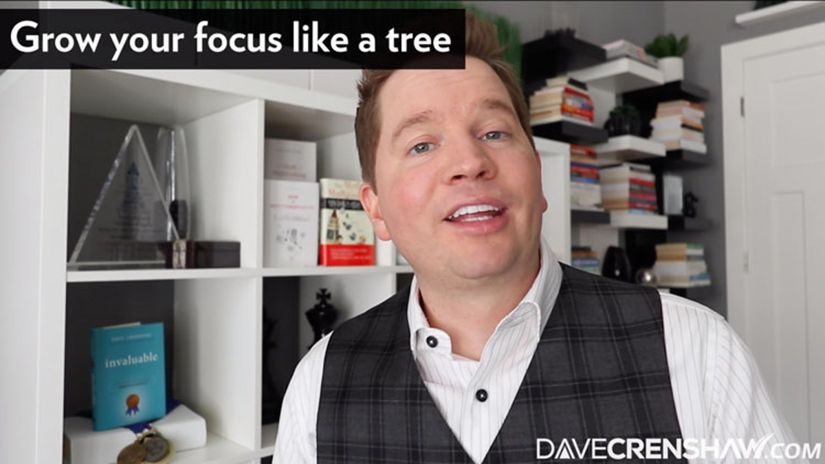 How to grow your focus like a tree